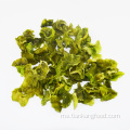 Selada hijau akar roud flakes sayur -sayuran kering